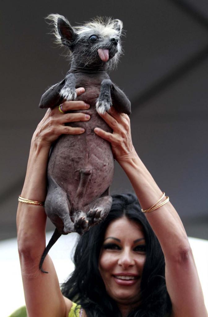 Ugly Dog Contest