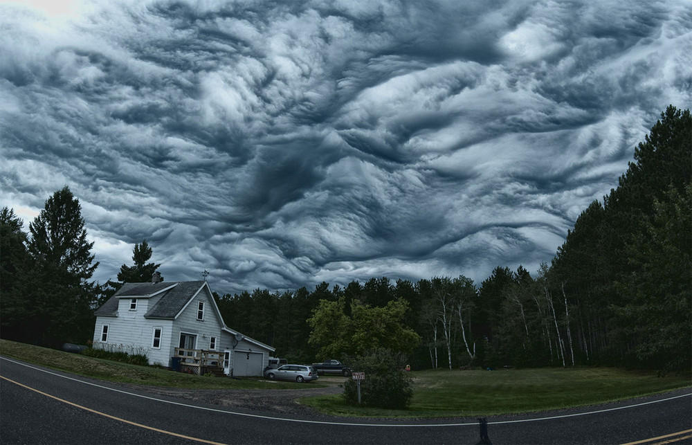 asperatus01
