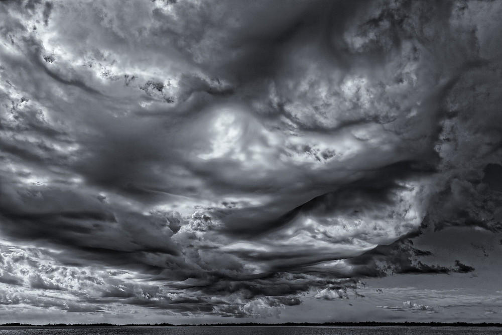 asperatus02