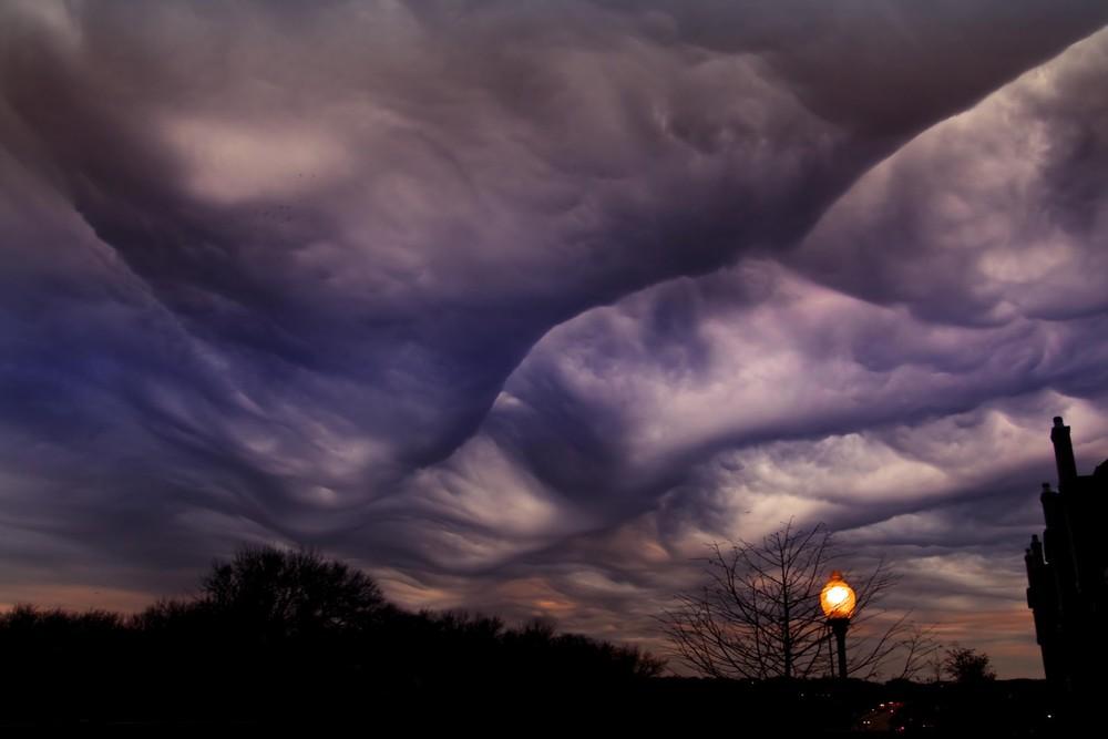asperatus04