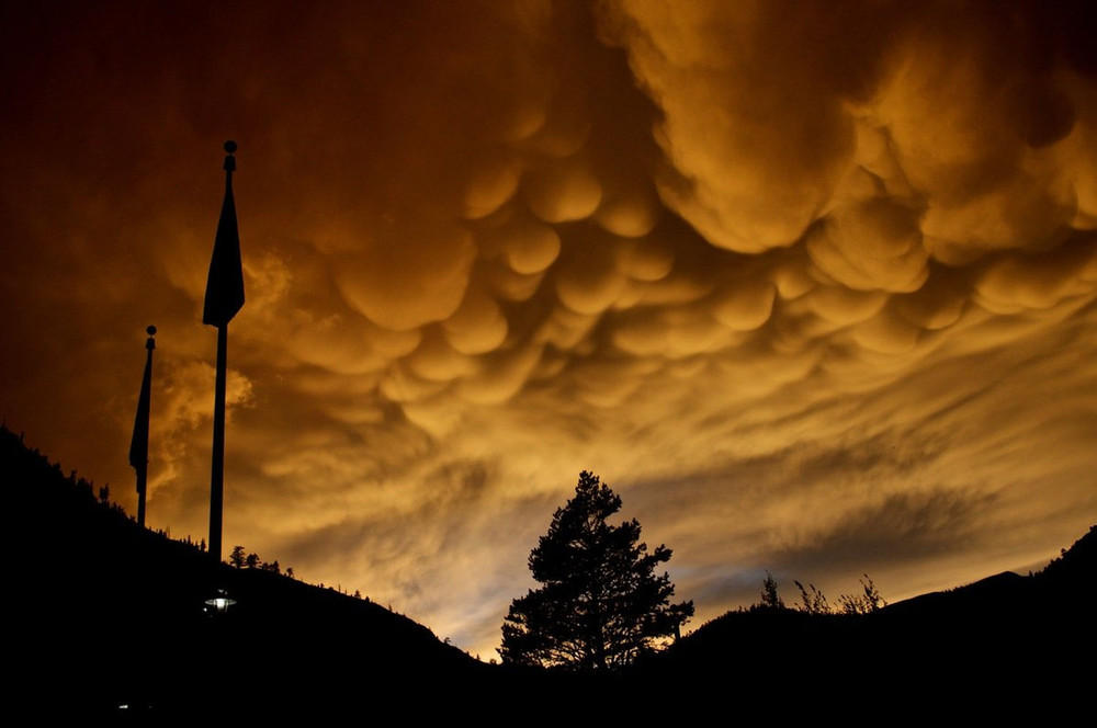 asperatus05