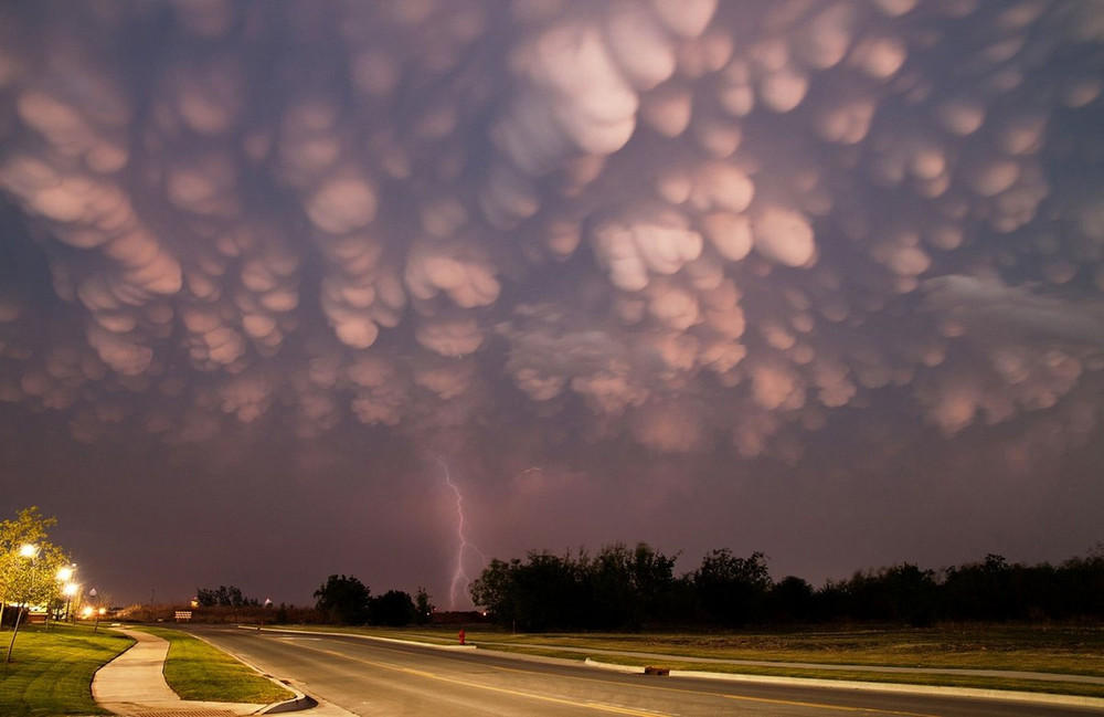 asperatus06
