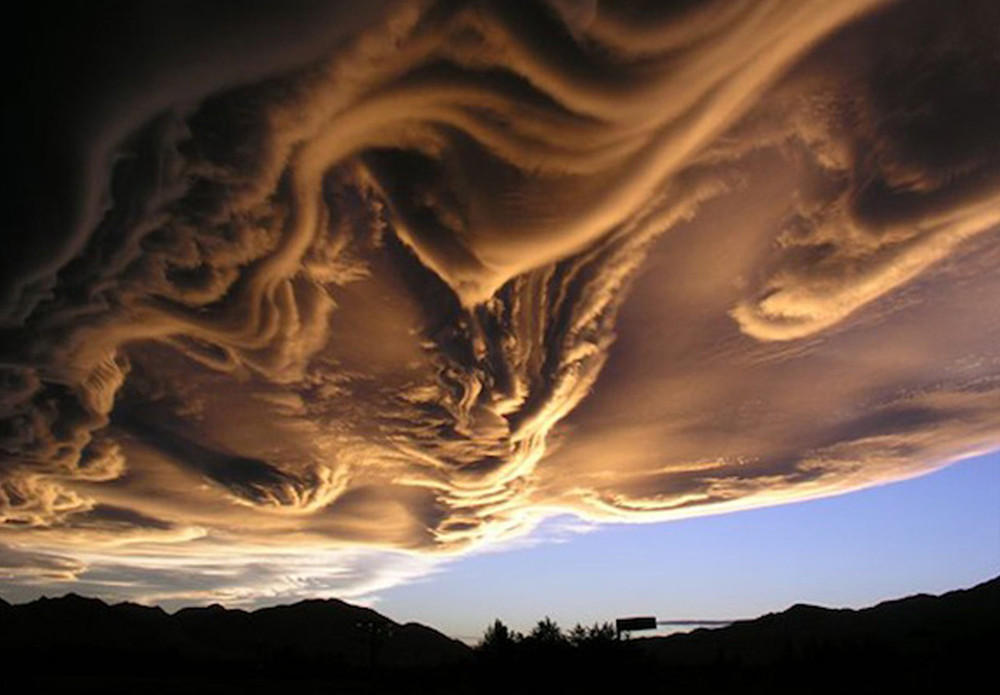 asperatus11