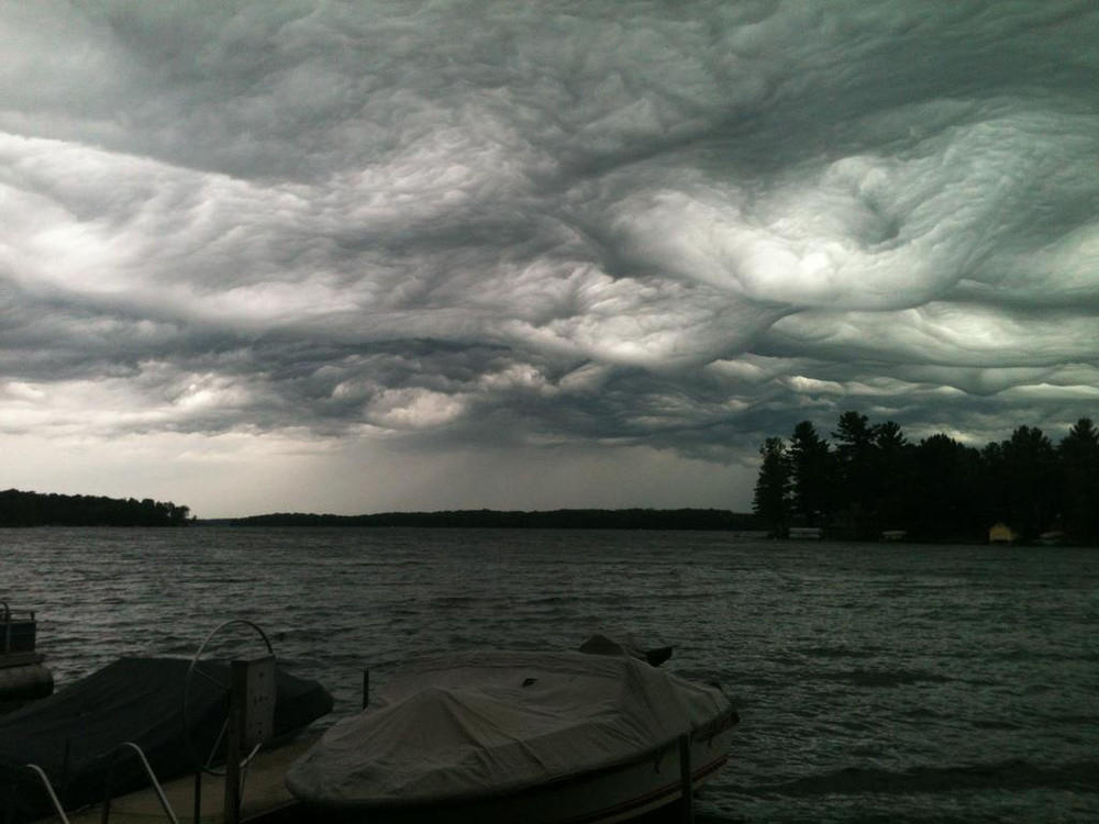 asperatus14