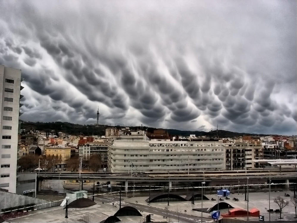 asperatus17
