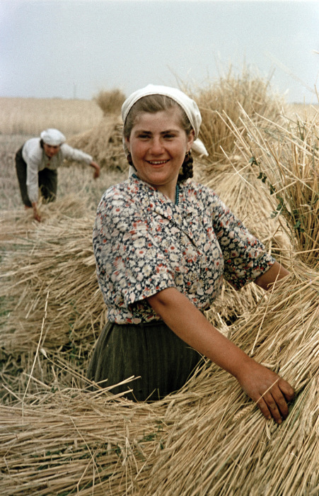 IntheUkrainianfarm