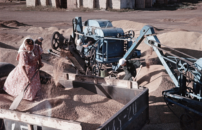 harvesting