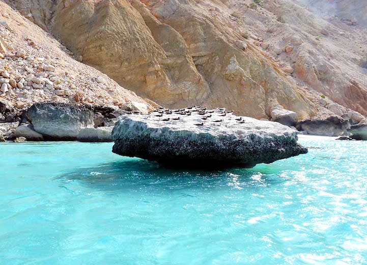 Socotra-22-13