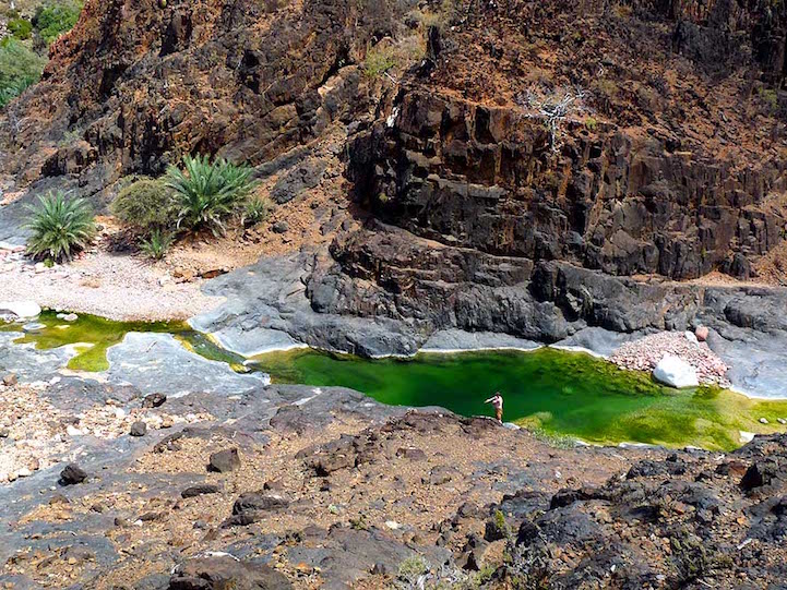 Socotra-22-15