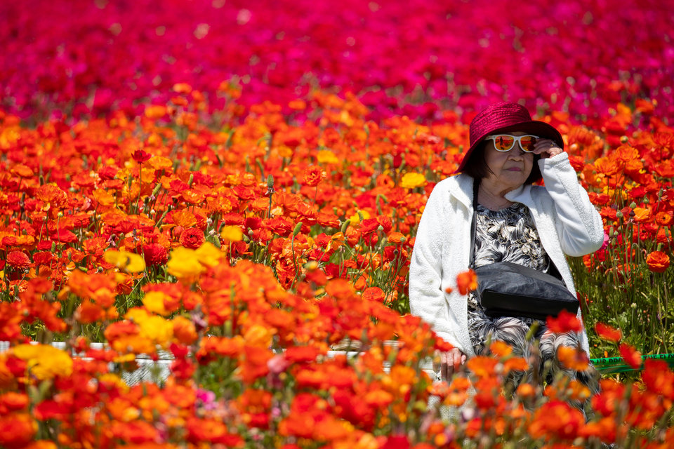 50 фотографий года от агентства Reuters_ на которые стоит взглянуть дважды или трижды 6