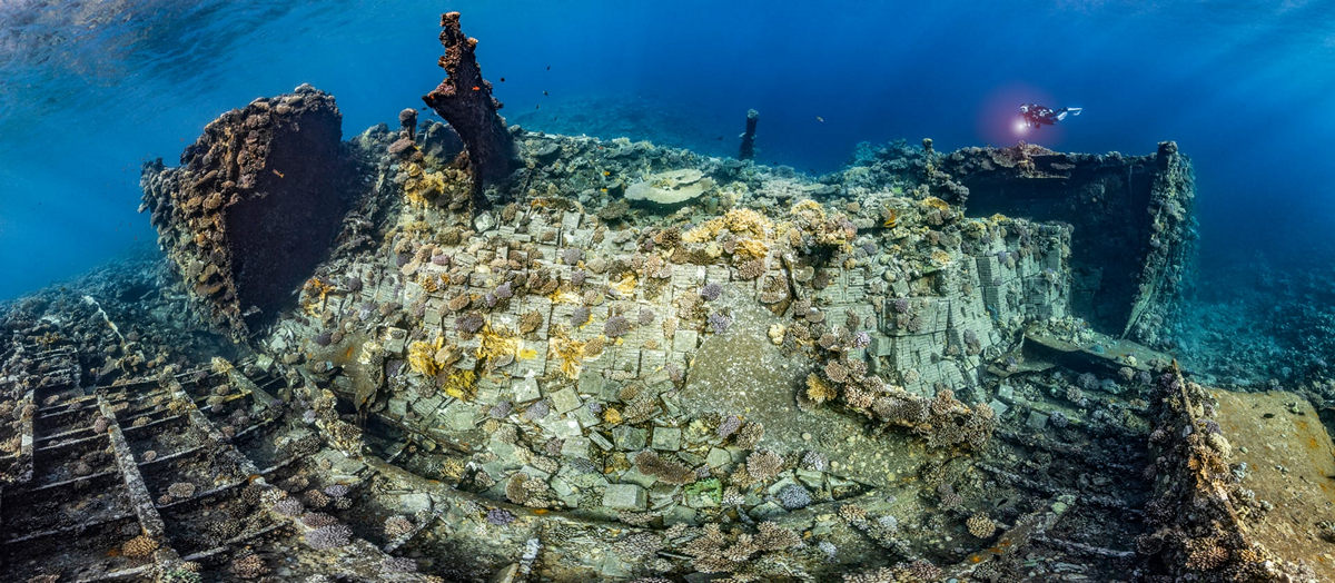 Жизнь морских глубин в работах победителей конкурса «Подводный фотограф года – 2019» 7